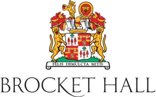 brocket back brocket back